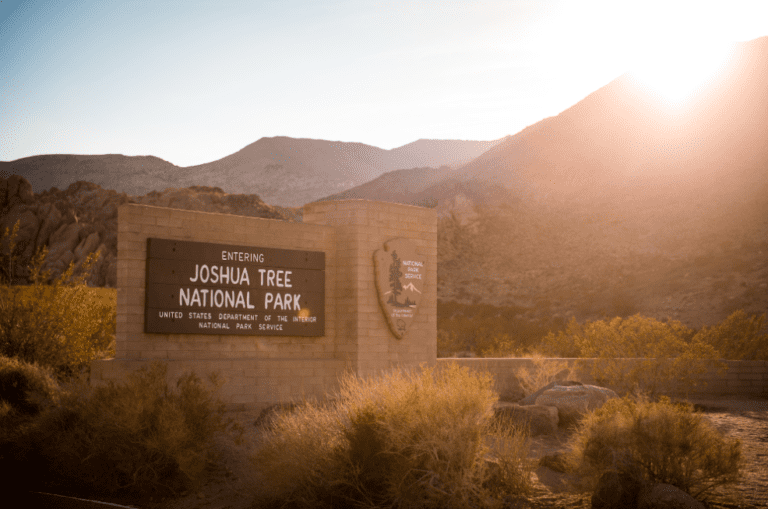 Things to Do in Joshua Tree National Park