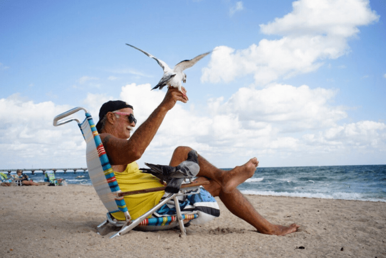 Miami Beach Reviews