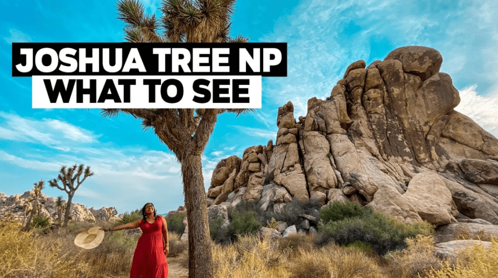 Things to Do in Joshua Tree National Park