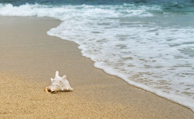 Monterey Beaches