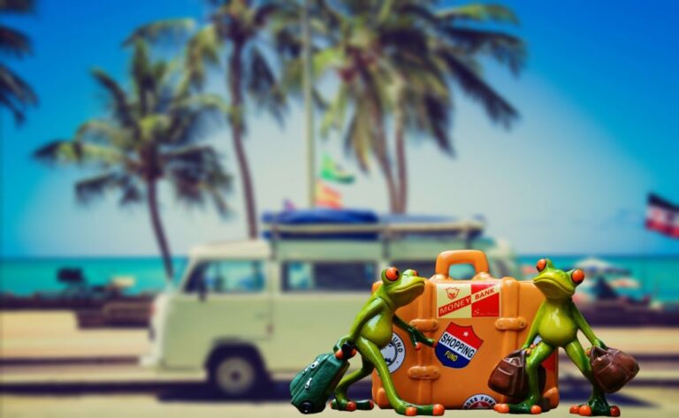 Vacation Packages