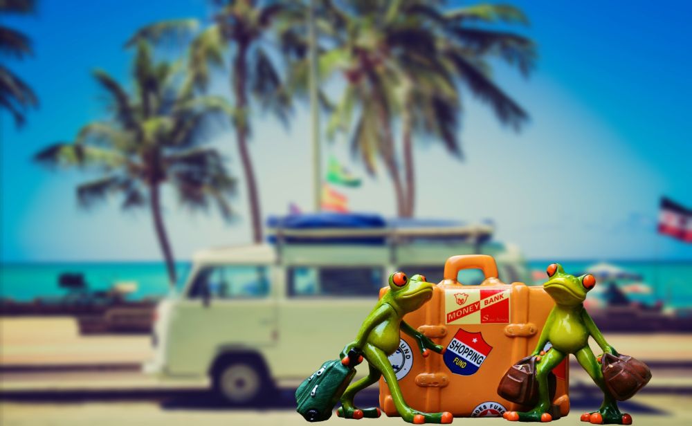 Vacation Packages