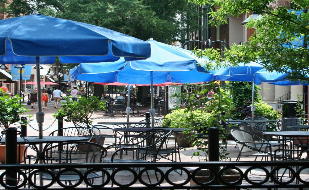 Top Charlottesville Wineries