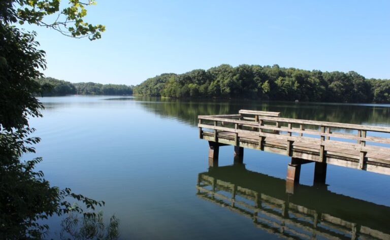 21 Top Lakes In Virginia